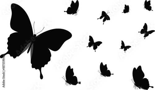 Black Silhouette Vector Illustration of a Large Butterfly with Several Smaller Swarming Butterflies in Various Flight Poses Isolated on a Plain White Background Set