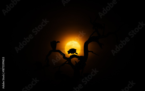 White‑backed vulture, Gyps africanus, silhouette at moonrise.