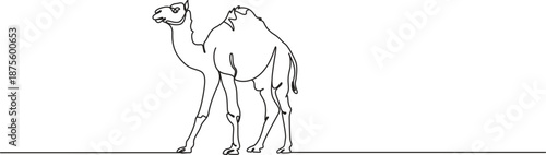 camel one Continuous Line art Vector illustration,1
