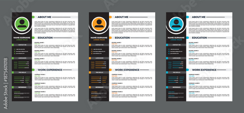 Professional Resume Templates with Varied Color Schemes and Layouts