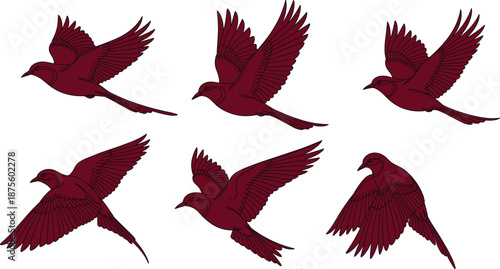 Bird flight silhouette, flying birds, wing motion, maroon illustration, nature, wildlife, avian anatomy, artistic pose, feather detail, bird movement, bird species