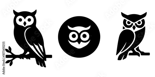 A set of cute cartoon owl illustrations featuring wise birds with big eyes and sharp beaks perched on nature branches or flying with wings spread in a funny wild animal vector art design