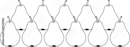 Pear fruit illustration set, hand drawn orchard harvest collection, simple botanical outlines, fresh food concept, CAD drawing flat vector illustration