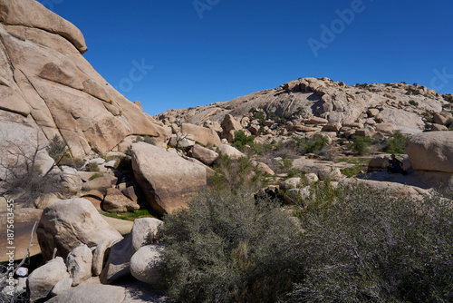 Joshua Tree National Park, CA, USA - October 19, 2025 - Towering granite rock formations under a clear blue desert sky