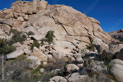 Joshua Tree National Park, CA, USA - October 19, 2025 - Towering granite rock formations under a clear blue desert sky