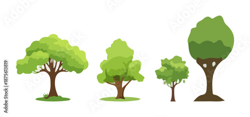 Tree Vector Illustration Collection Featuring Tropical and Orchard Trees with Mango, Apple, Banana, Orange, Coconut Palm and More Isolated on White Background