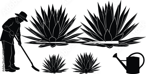 Farmer harvesting agave plants with shovel in black silhouette vector set including watering can and growth stages illustration