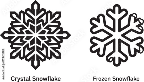 Decorative Snowflake Icons Set Featuring a Detepsled Geometric Crystal Design and a Soft Frozen Natural Shape Representing Winter Holidays and Cold Seasonal Weather.