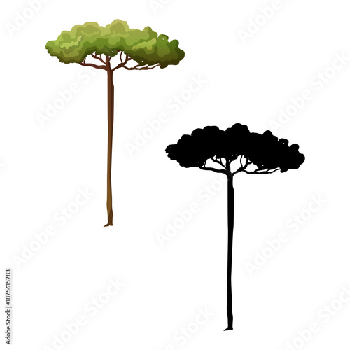 Tree Vector Illustration Collection Featuring Tropical and Orchard Trees with Mango, Apple, Banana, Orange, Coconut Palm and More Isolated on White Background