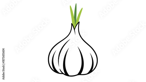 Detailed color illustration of a fresh white garlic bulb with small green sprouts growing from the top on a white background.