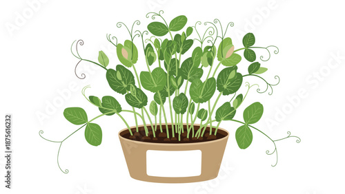 Medical medication dose concept with a hand reaching for colorful capsules and tablets from an open grey plastic medicine bottle.