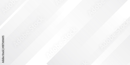 White abstract background. Silver effect texture. Light gray colour textur. Grey platinum pattern. Modern backdrop. Gradient delicate surface print. Design bg for business prints. Vector illustration