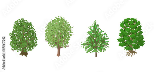 Tree Vector Illustration Collection Featuring Tropical and Orchard Trees with Mango, Apple, Banana, Orange, Coconut Palm and More Isolated on White Background