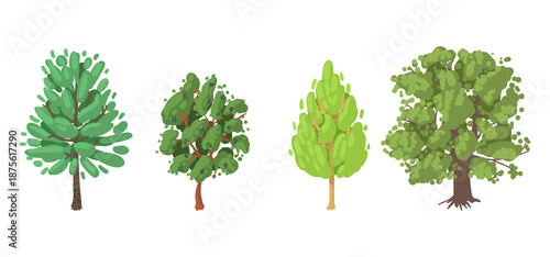 Tree Vector Illustration Collection Featuring Tropical and Orchard Trees with Mango, Apple, Banana, Orange, Coconut Palm and More Isolated on White Background