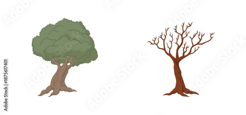 Tree Vector Illustration Collection Featuring Tropical and Orchard Trees with Mango, Apple, Banana, Orange, Coconut Palm and More Isolated on White Background