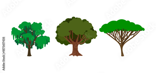 Tree Vector Illustration Collection Featuring Tropical and Orchard Trees with Mango, Apple, Banana, Orange, Coconut Palm and More Isolated on White Background
