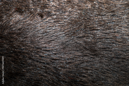 Canvastavla Texture of thick dark brown fur with natural shine and soft pile creates a feeling of warmth and comfort