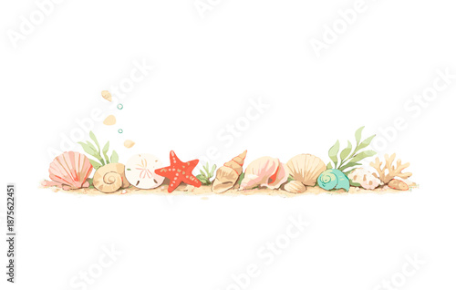 Colorful collection of seashells and coral on sandy beach