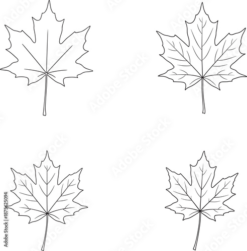 Four line art illustrations of maple leaves