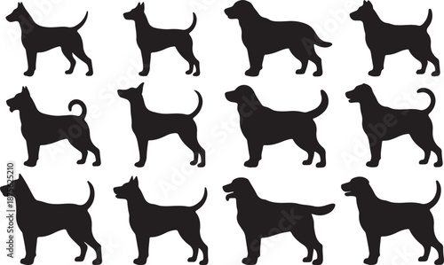 Dog Breed Silhouettes Set Black Vector Collection Standing Side View Pet Icons