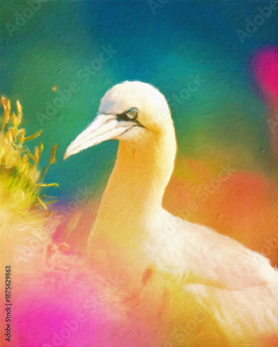 Konstfotografi Portrait of a northern gannet against a colourful abstract background rendered in a painterly wildlife art style