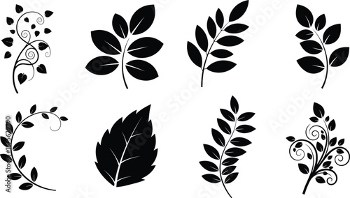 Decorative leaf and branch silhouettes collection, floral botanical ornaments, elegant nature design elements, black plant icons isolated