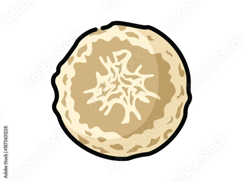 Illustration of a cross-section of a banana fruit showing its internal structure.