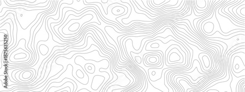 Abstract pattern with lines seamless pattern and topography. sea map and mounted map area space geometrics line technology topo landscape grid map discovery area. Modern design white background.