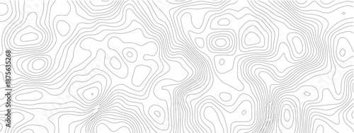 Topographic Design Pattern with Seamless Lines Representing Area Spaces and Grid Layouts on a Modern Geometric Map