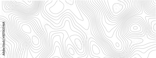 Abstract pattern with lines seamless pattern and topography. sea map and mounted map area space geometrics line technology topo landscape grid map discovery area. Modern design white background.