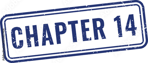 Professional blue chapter fourteen rubber stamp with grunge texture in rounded rectangle for book publishing organization