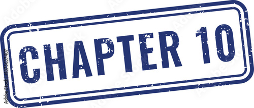 Blue chapter ten rubber stamp with distressed border for marking tenth sections in academic study materials