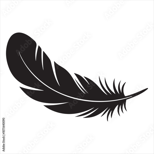 A black feather on a white background