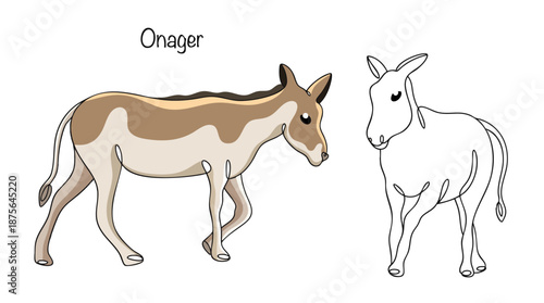 Onager