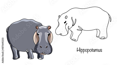 Hippopotamus