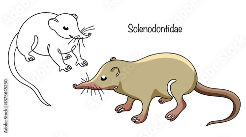 Solenodontidae