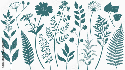 Teal floral illustrations of various plants and flowers