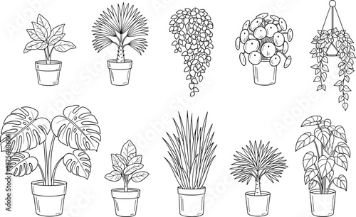 Indoor houseplant line art collection, potted tropical plants and hanging greenery, home decor botanical illustration, outline vector set design