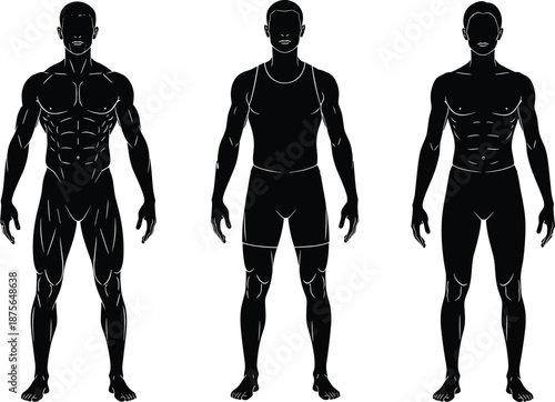 Male body anatomy silhouette set, muscular fitness figures, front view poses, black vector illustration, medical sports concept design
