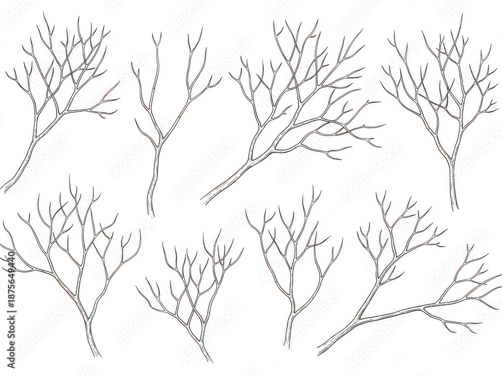 Fototapeta premium Set of leafless tree branches isolated on transparent background