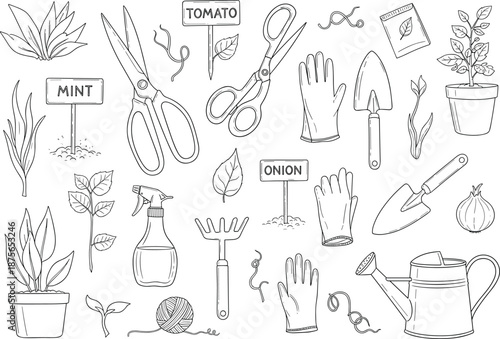 gardening, tools, plants, gloves, scissors, trowel, rake, watering, spray, string, seeds, onion, mint, tomato, garden, artwork