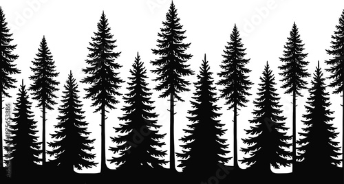 Pine tree forest silhouette illustration with evergreen trees on white background, representing nature landscape, wilderness scenery, outdoor woodland environment, and natural scenery design 