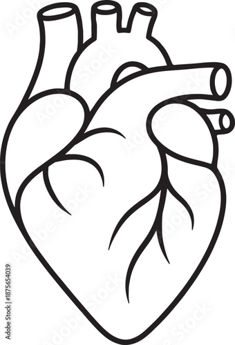 Human Anatomical Heart Line Art Drawing, Medical Biology Organ Illustration
