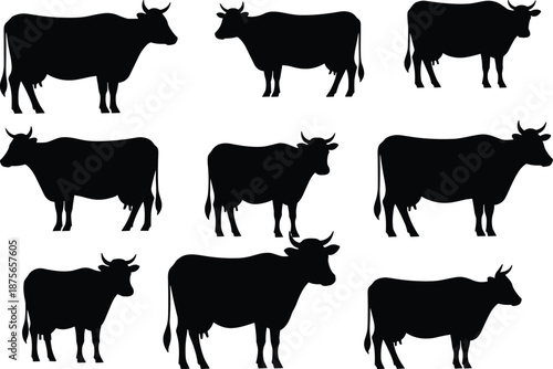 Silhouette vector set of cows in various postures and angles, ideal for farm, design, and educational use