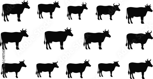 Silhouette vector set of cows in uniform side profiles, ideal for farm, design, and educational content use