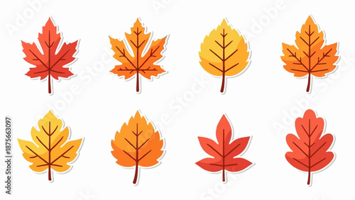 Eight colorful autumn leaves arranged in two rows on a white background