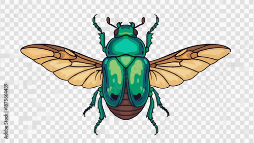 Green jewel beetle with spread wings