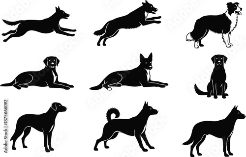 Dog silhouette poses collection, domestic pet animals standing sitting running jumping, black canine shapes, vector illustration set