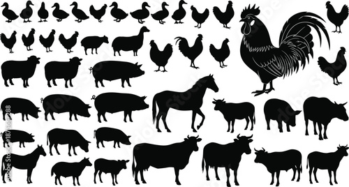 Farm animal silhouettes collection featuring chickens, rooster, cows, pigs, sheep and goats isolated on white background for agriculture, livestock, farming design use