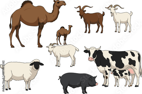 Farm animals vector set including cow, camel, goat, sheep, pig, and calf illustrated in flat style